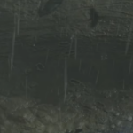 Group logo of MMOexp:Best Strategy Druid Build in Diablo 4