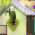 Group logo of rsgoldfast Construction is one of the most isolated skills in Old School RuneScape,