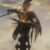 Group logo of Path of Exile Eldritch Chaos Orb U4GM Farming Tips