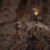 Group logo of U4GM Path of Exile Lifeforce Farming And Crafting Guide